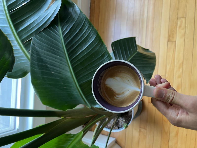 Coffee latte art